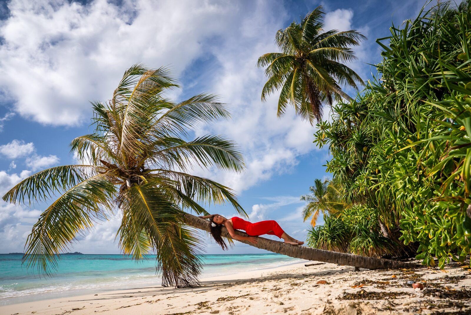 A guest resting on a palm trunk leaning over Dhigurah's beach