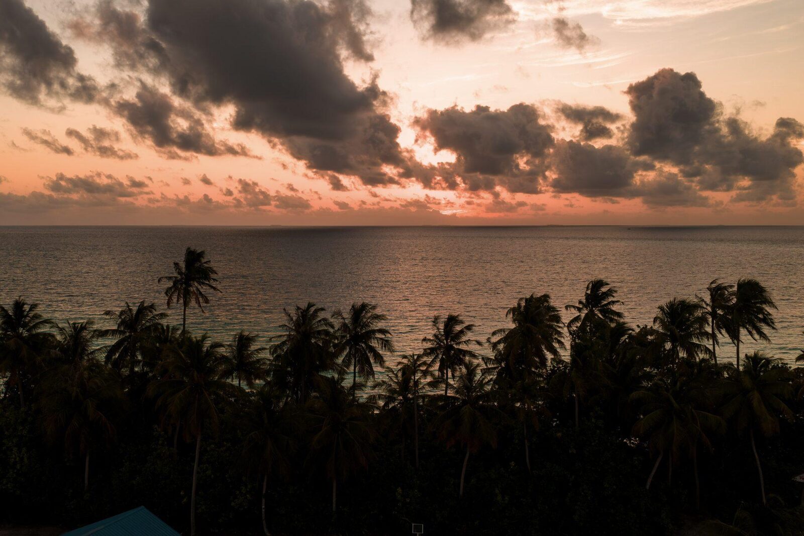 Sunset over the sea at Dhigurah, seen through coconut palms